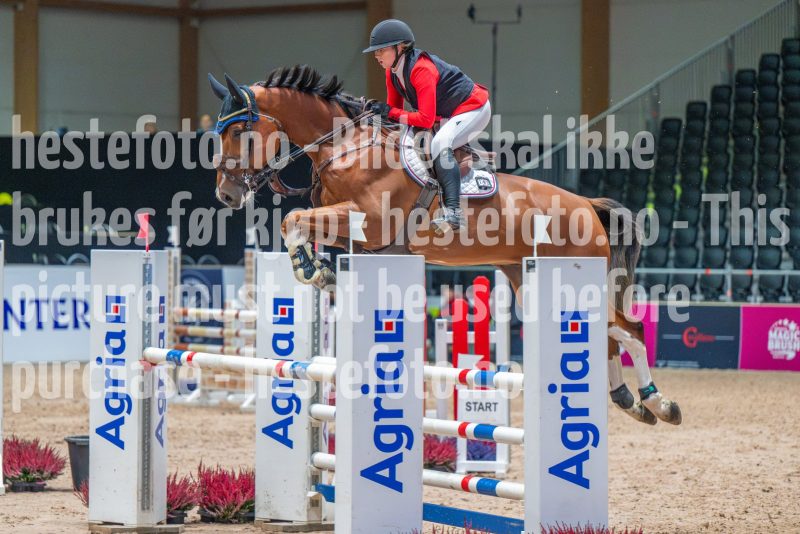 20251010-132134-DSC_0436