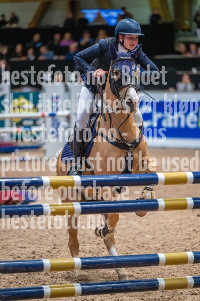 20251011-112853-DSC_8439
