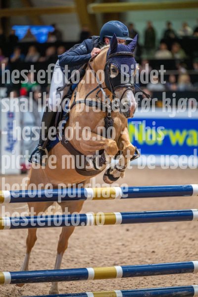 20251011-112853-DSC_8443