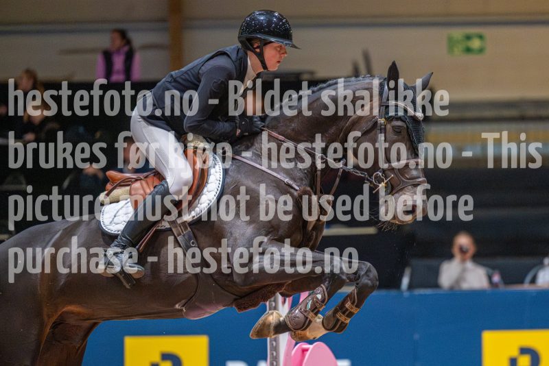 20251011-133533-DSC_1937