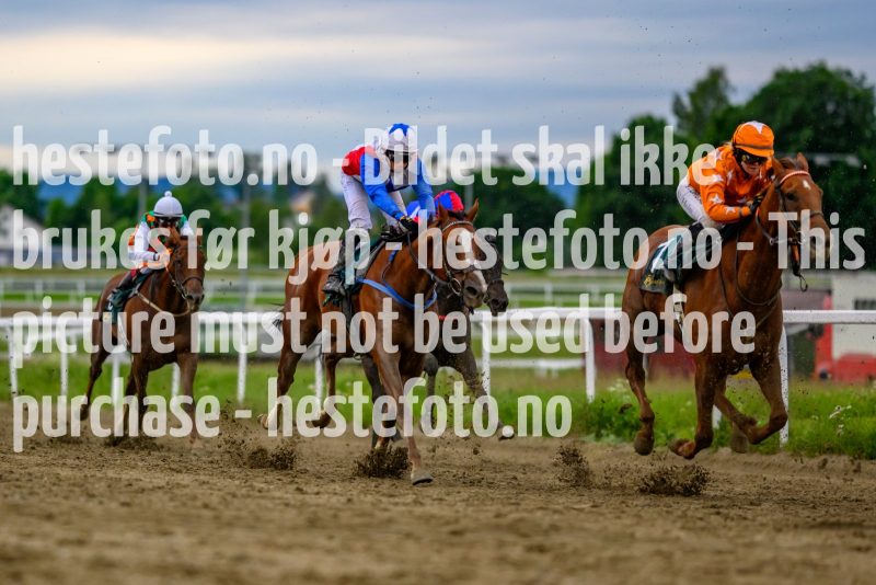 20210701-193503-DSC2456