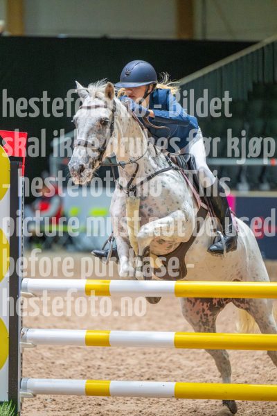 20251011-101820-DSC_6488