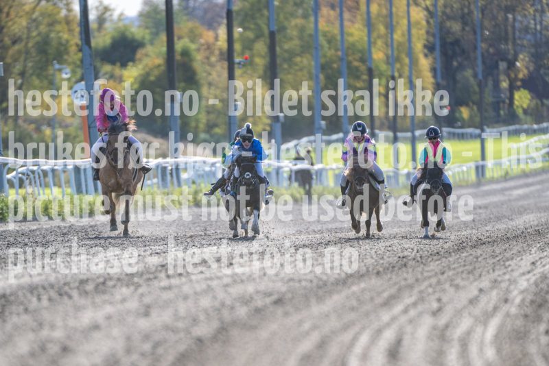 20251012-151813-DSC_7986