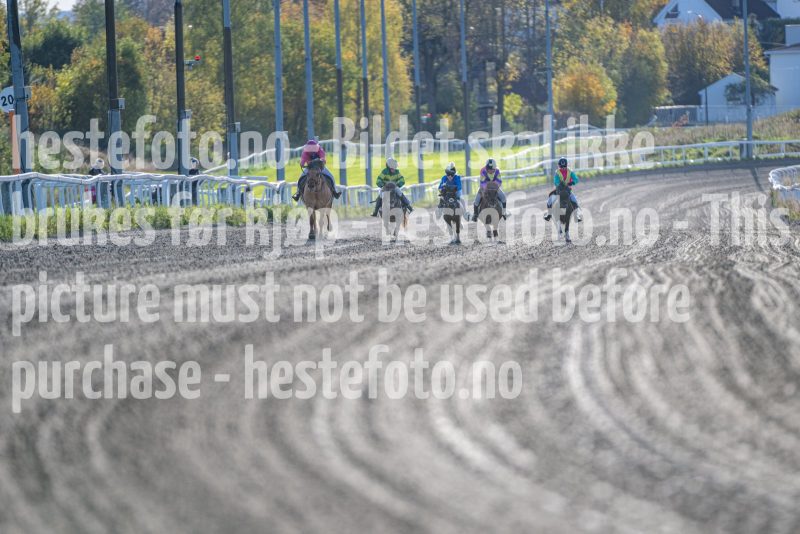20251012-151806-DSC_7914