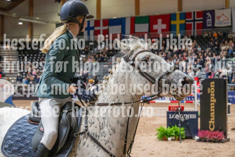 20251018-100807-DSC_2500