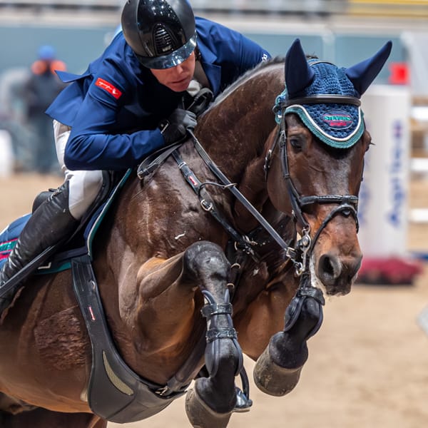 Untitled ngg_pictures