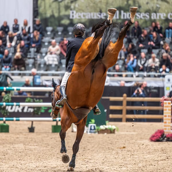 Untitled ngg_pictures