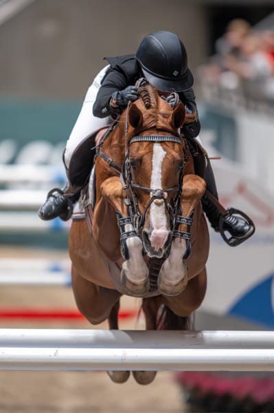 Untitled ngg_pictures