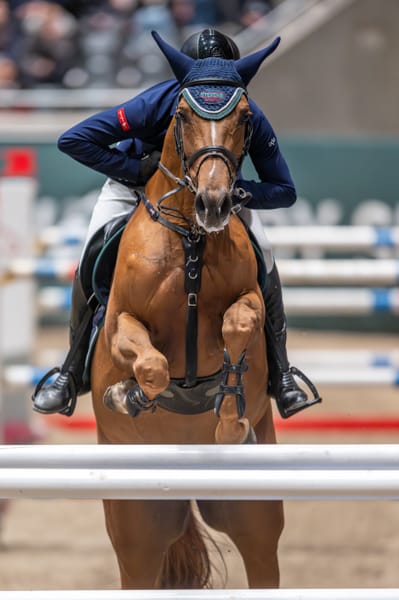 Untitled ngg_pictures