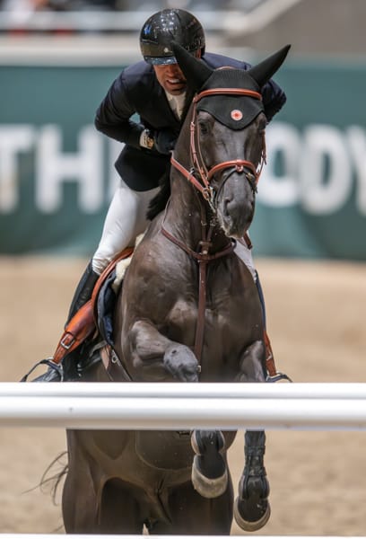 Untitled ngg_pictures