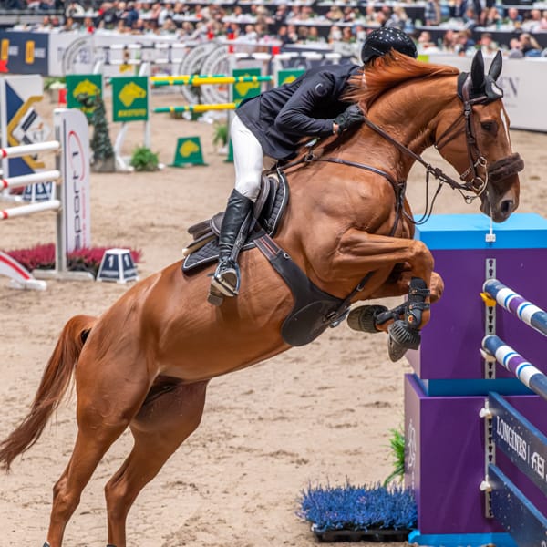 Untitled ngg_pictures