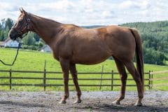 20230810-114414-DSC_6576