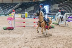 20251010-113555-DSC_8827