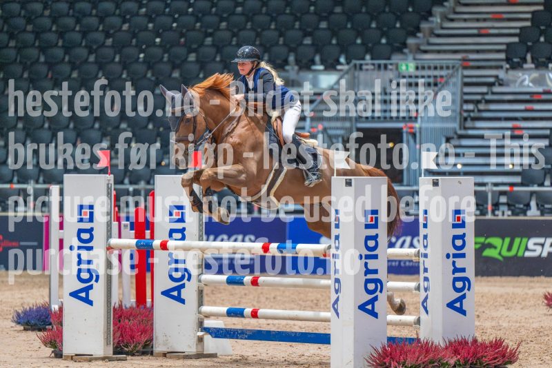 20251010-123032-DSC_9146