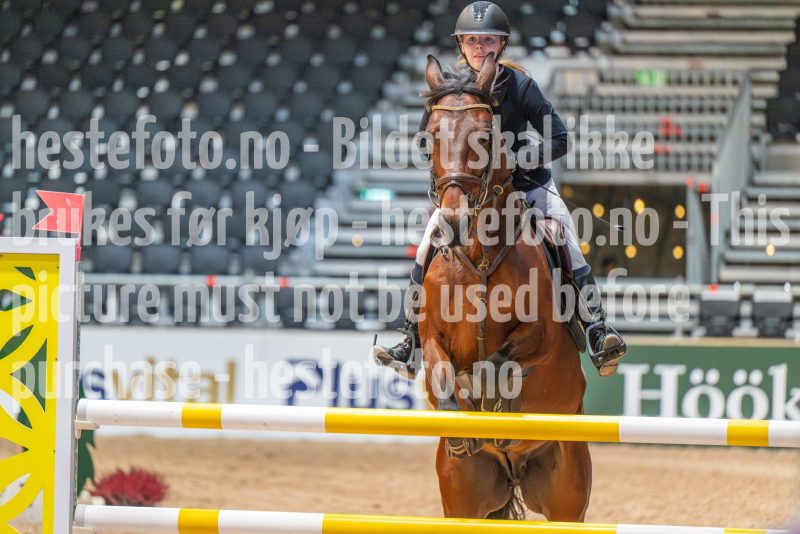 20251010-124936-DSC_9747