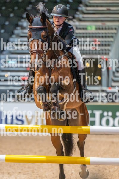 20251010-132332-DSC_0542