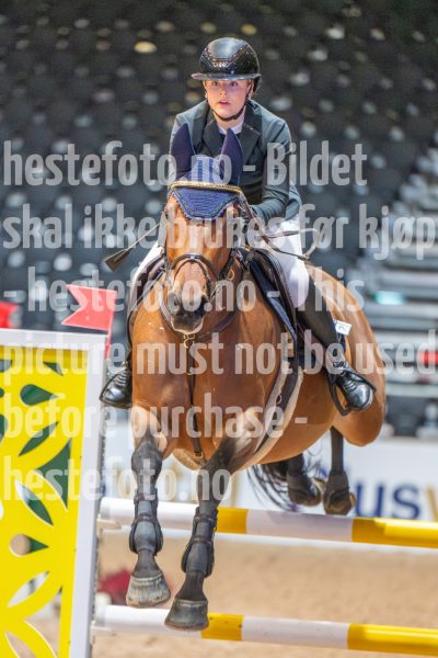 20251010-132700-DSC_0646