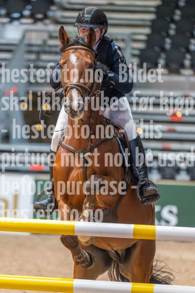 20251010-134333-DSC_1141