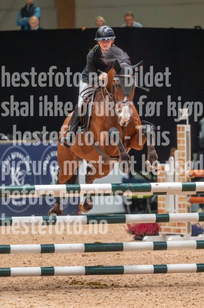 20251010-152618-DSC_3313