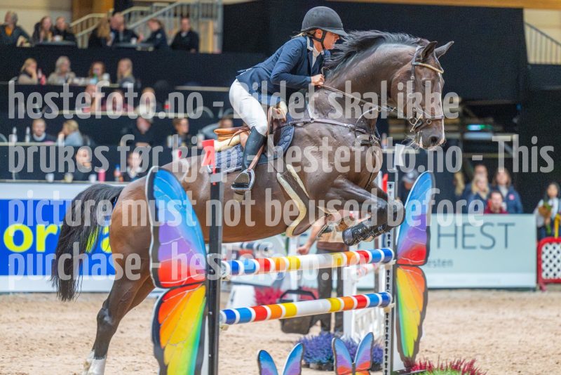20251010-154126-DSC_3612