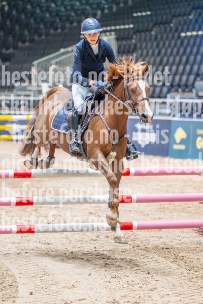 20251010-104824-DSC_6841