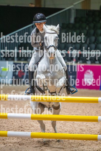 20251011-101953-DSC_6564