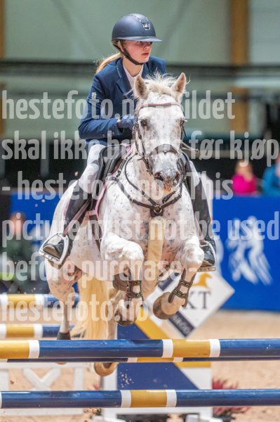 20251011-102005-DSC_3913