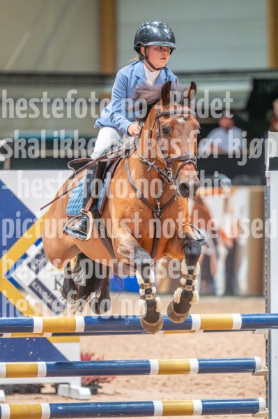 20251011-102303-DSC_3936