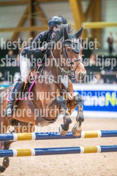 20251011-112331-DSC_8106