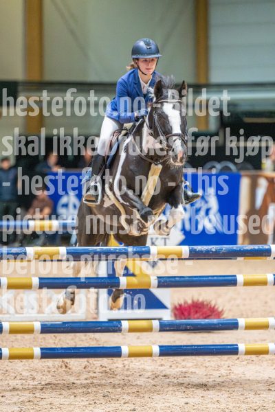 20251011-112510-DSC_8188