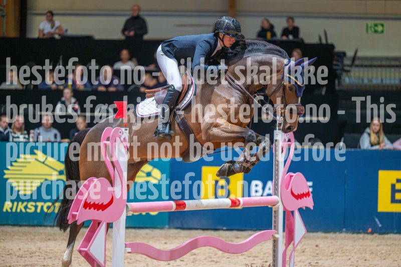 20251011-121245-DSC_8934