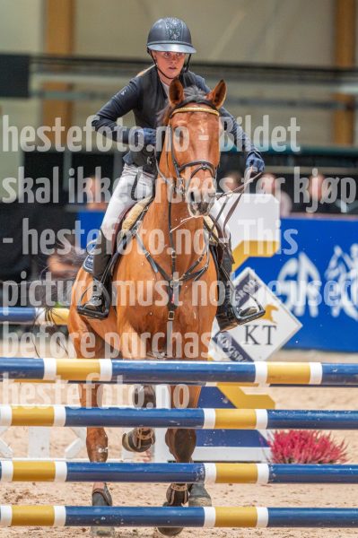 20251011-122250-DSC_4165