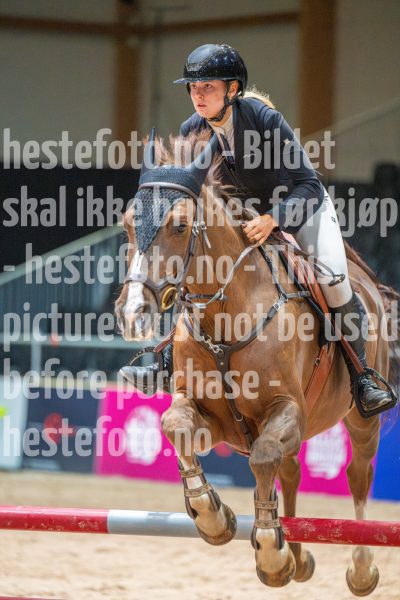 20251011-122653-DSC_9525