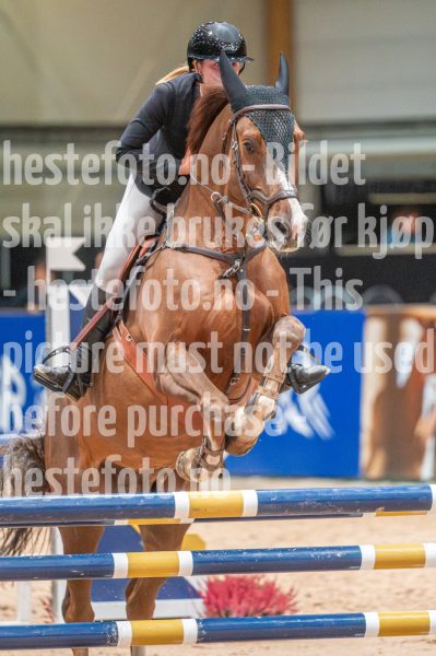 20251011-122918-DSC_4217