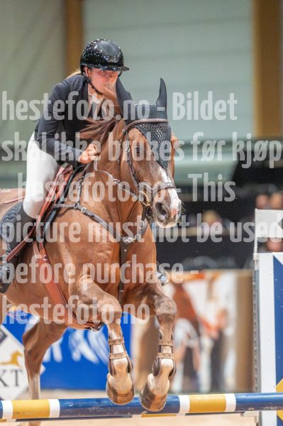 20251011-122918-DSC_4219