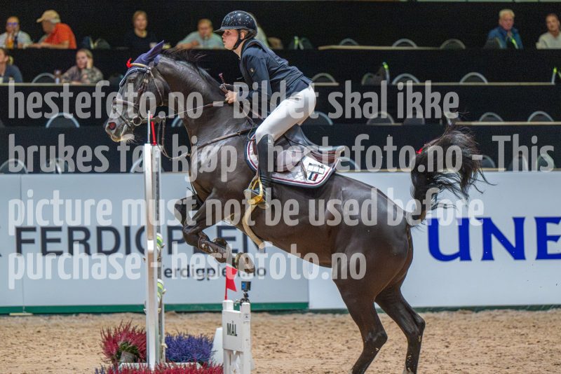 20251011-124441-DSC_0252