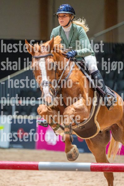 20251011-124613-DSC_0327