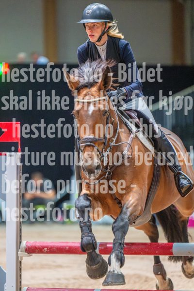 20251011-130547-DSC_0792