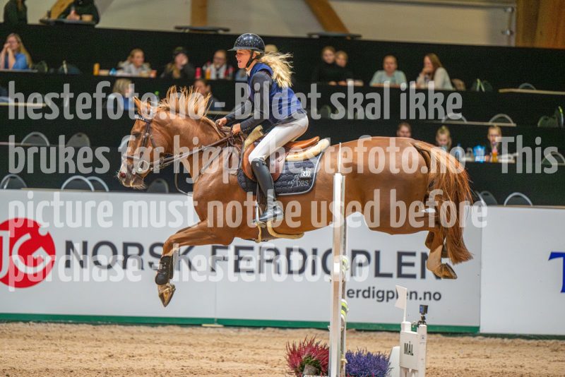 20251011-130712-DSC_0843