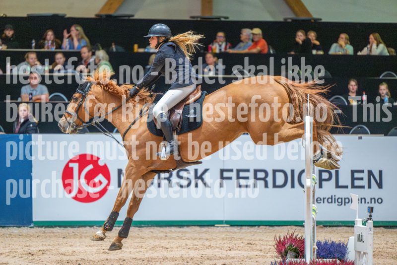 20251011-131117-DSC_1010