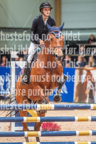 20251011-131117-DSC_4388