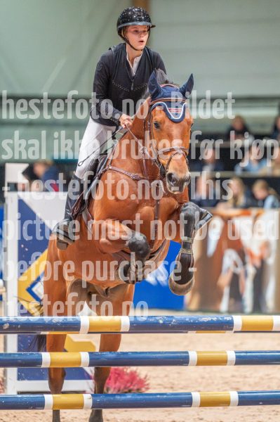 20251011-131117-DSC_4389