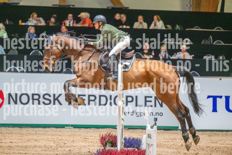 20251011-131307-DSC_1091