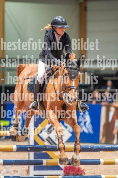 20251011-131319-DSC_4400