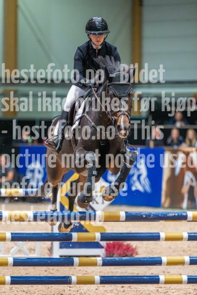 20251011-132209-DSC_1453