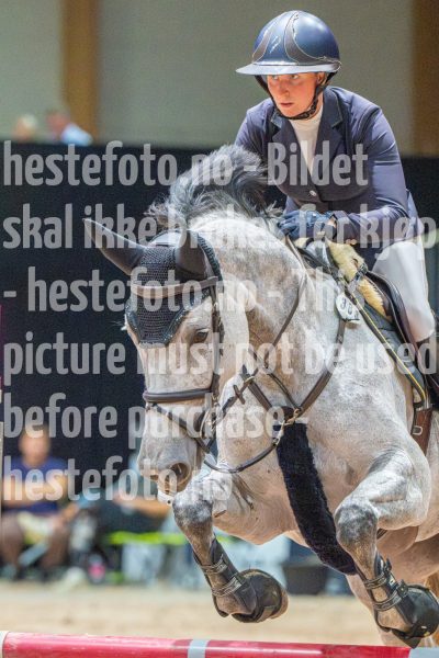 20251011-133405-DSC_1879