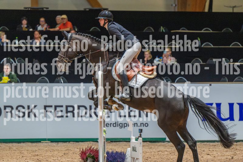 20251011-133513-DSC_1921