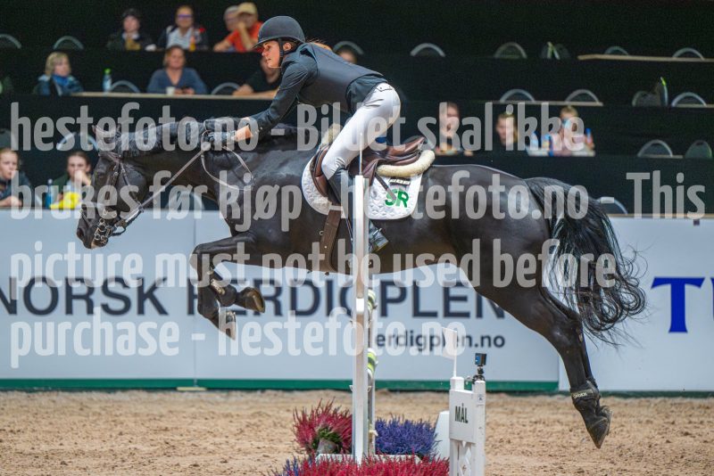 20251011-133722-DSC_2006