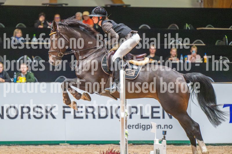 20251011-133946-DSC_2085