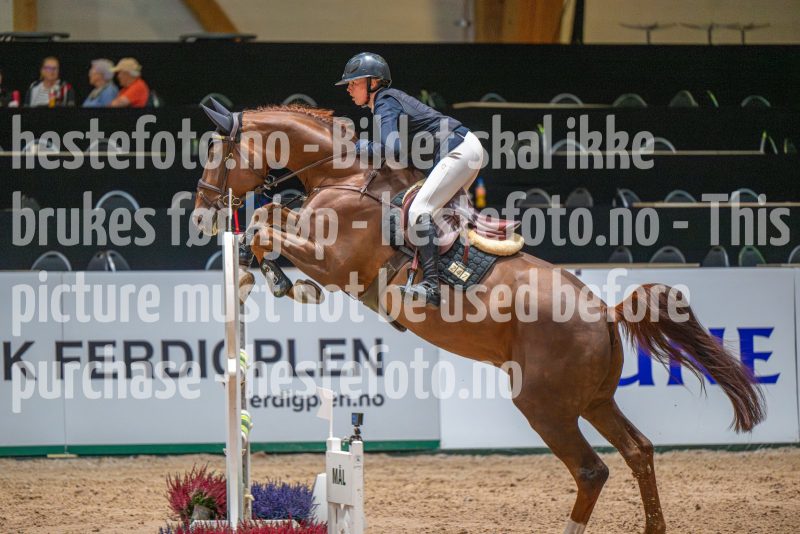 20251011-134647-DSC_2426